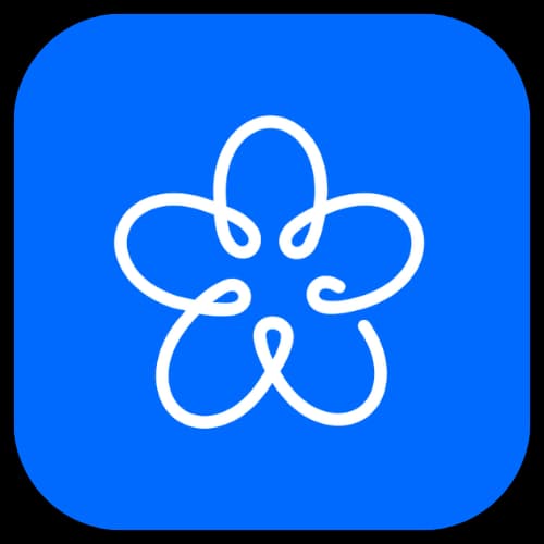 QiQi