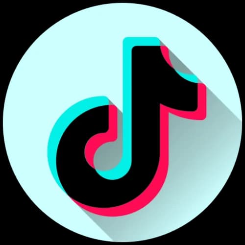 Tiktok Bulk Downloader