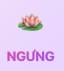 NGƯNG