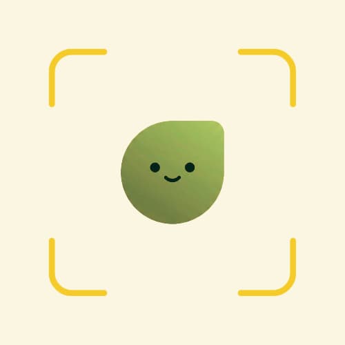 Soi