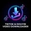 Tikdowloadvideo