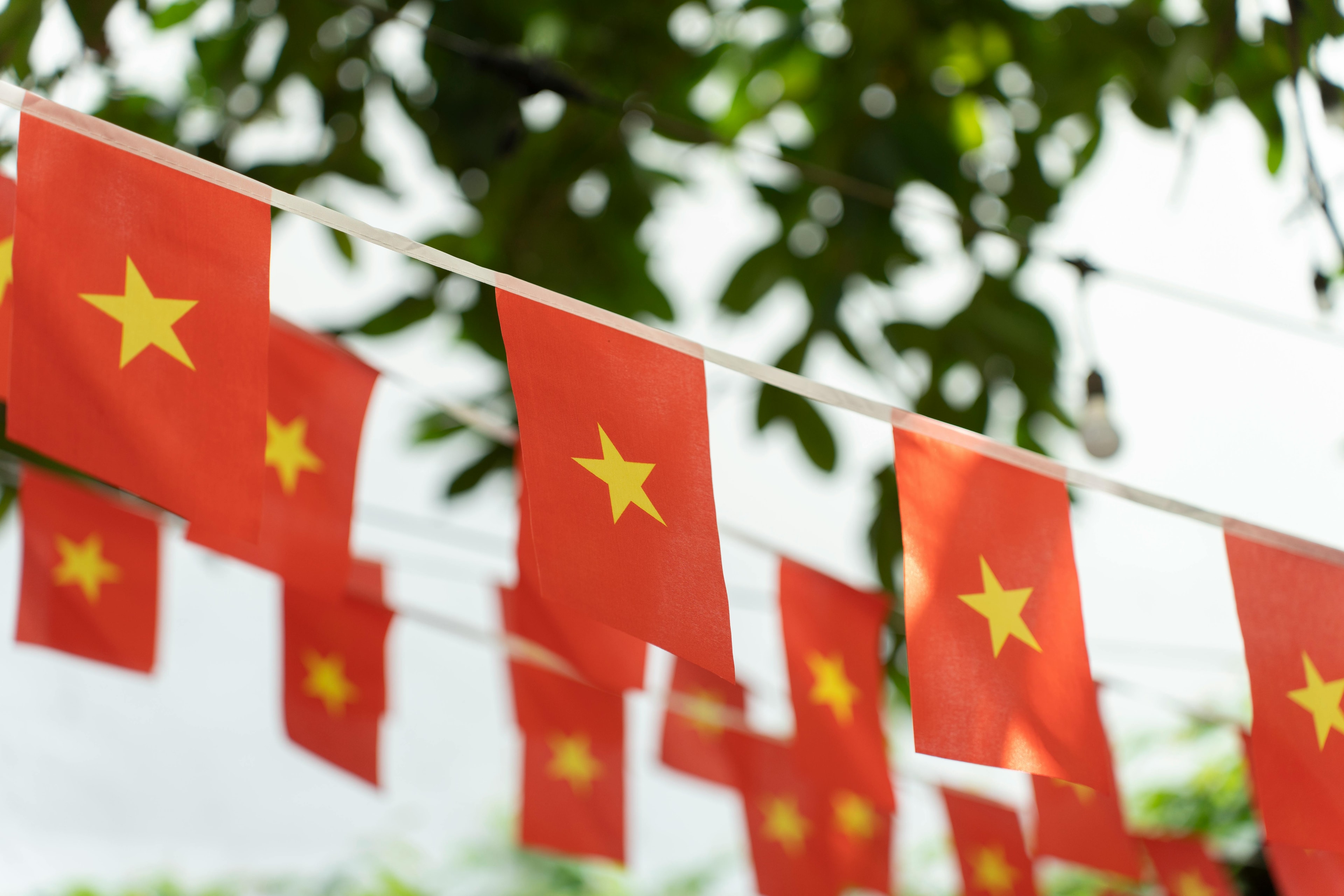 Ngô Quốc Đạt's banner