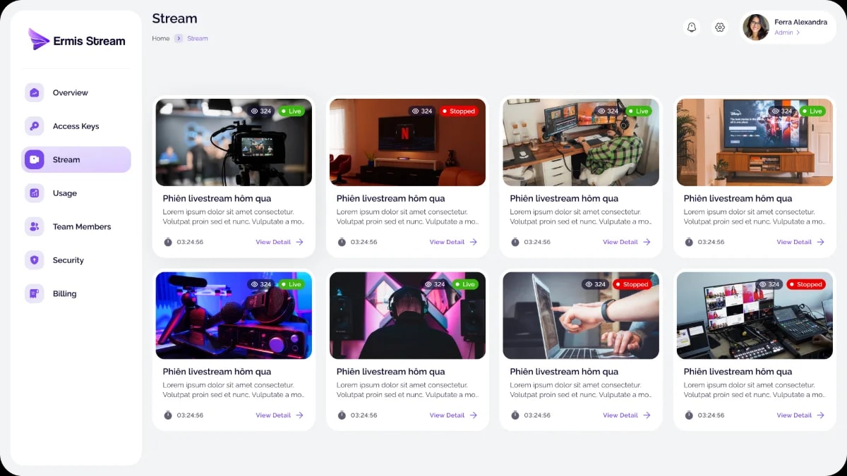 Ermis Video Streaming Infra screenshot