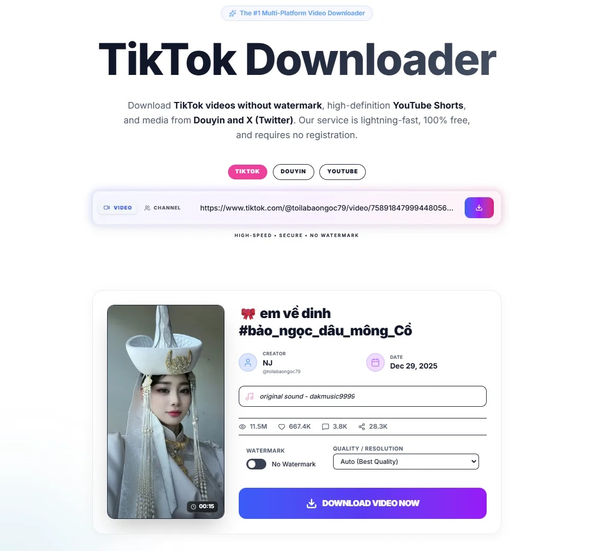 Tikdowloadvideo screenshot