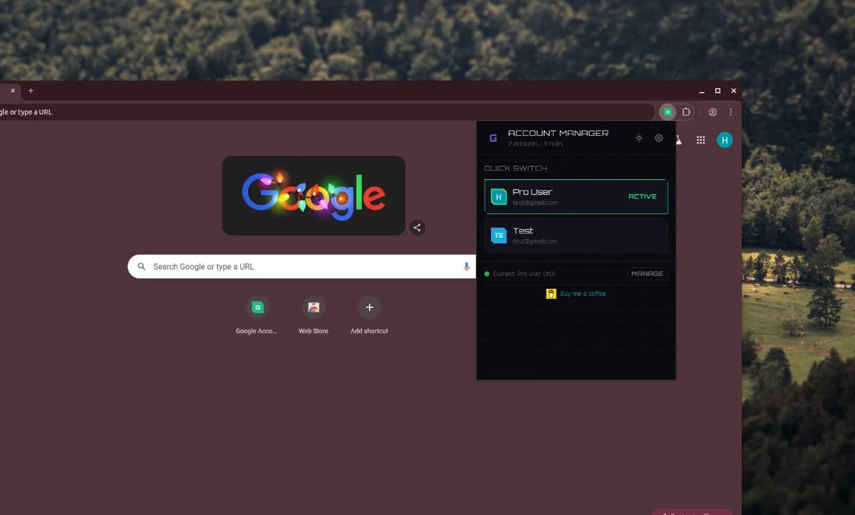 Google Account Manager screenshot